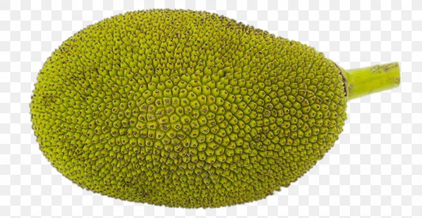 Jackfruit Food Breadfruit Banana, PNG, 940x487px, Jackfruit, Auglis, Banana, Battle Cry, Breadfruit Download Free