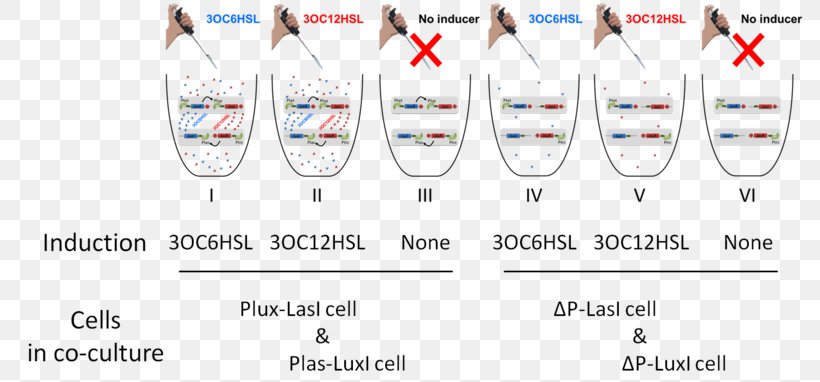 MTT Assay Cell Culture Technology, PNG, 800x382px, Assay, Area, Brand, Cell, Cell Culture Download Free