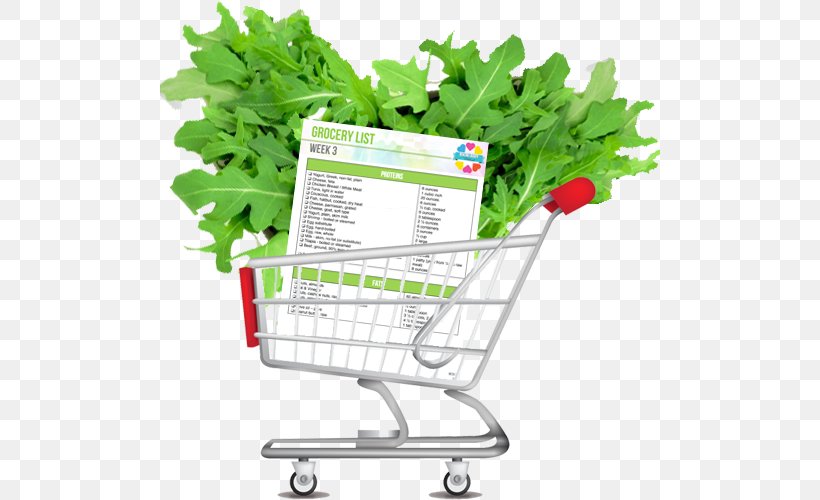 Shopping Cart Shopping Bags & Trolleys Paper, PNG, 500x500px, Shopping Cart, Bag, Ecommerce, Flowerpot, Grass Download Free