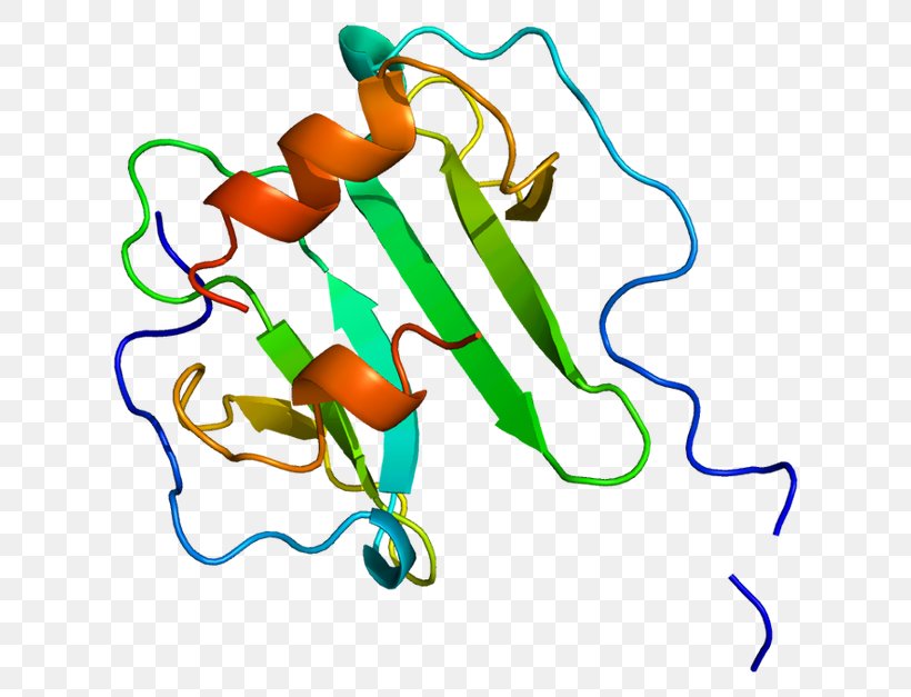 Stromal Cell-derived Factor 1 CXC Chemokine Receptors CXCR4 Cytokine, PNG, 660x627px, Stromal Cellderived Factor 1, Area, Artwork, Cell, Chemokine Download Free