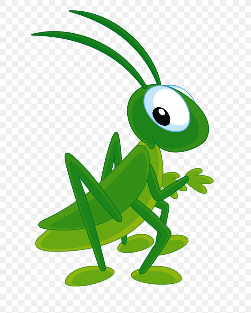 The Ant And The Grasshopper Clip Art, PNG, 616x1024px, Grasshopper, Amphibian, Ant And The Grasshopper, Artwork, Cricket Download Free