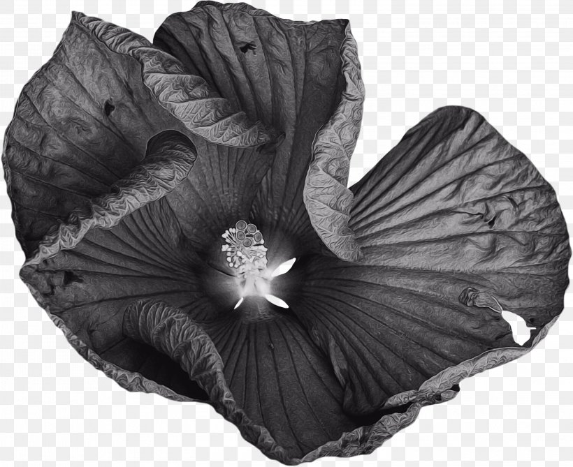 Black And White Flower, PNG, 3001x2451px, Watercolor, Black, Blackandwhite, Flower, Hibiscus Download Free