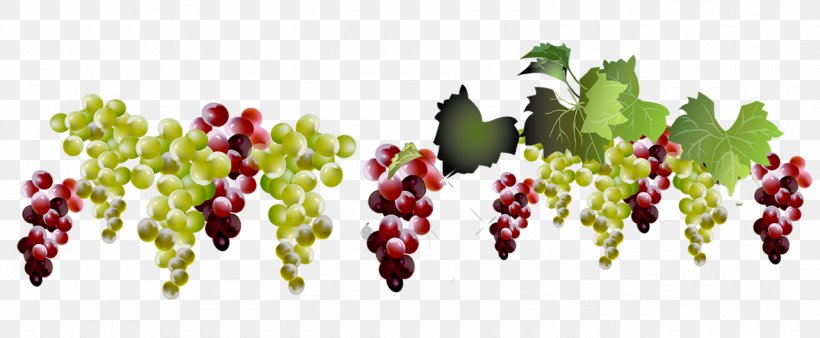 Grape Natural Foods Grapevine Family Fruit Seedless Fruit, PNG, 1280x529px, Grape, Berry, Food, Fruit, Grapevine Family Download Free