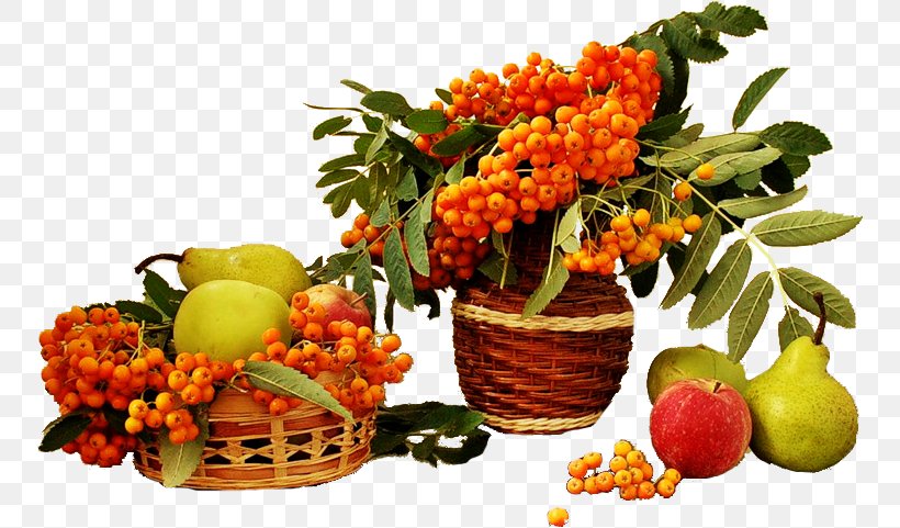 Indian Summer Daytime Autumn Spring, PNG, 752x481px, Summer, Autumn, Birthday, Citrus, Cut Flowers Download Free