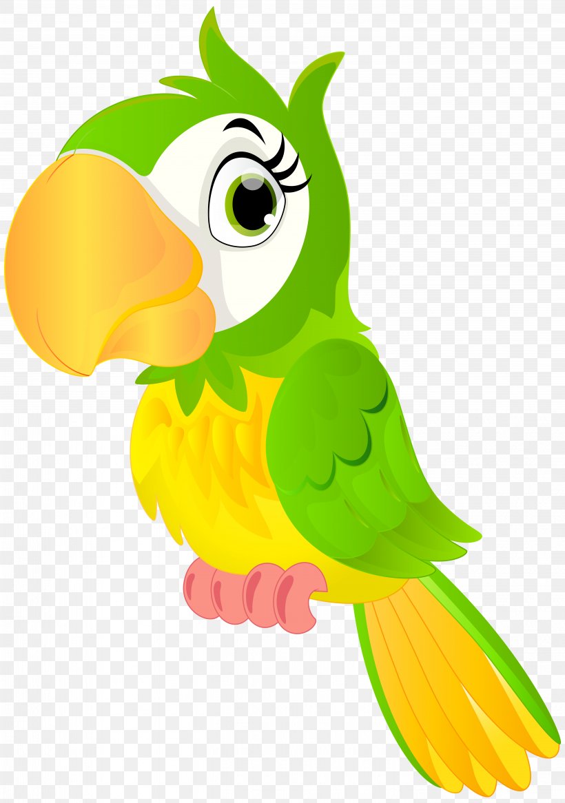 Parrot Bird Animation Cartoon Clip Art, PNG, 5624x8000px, Parrot