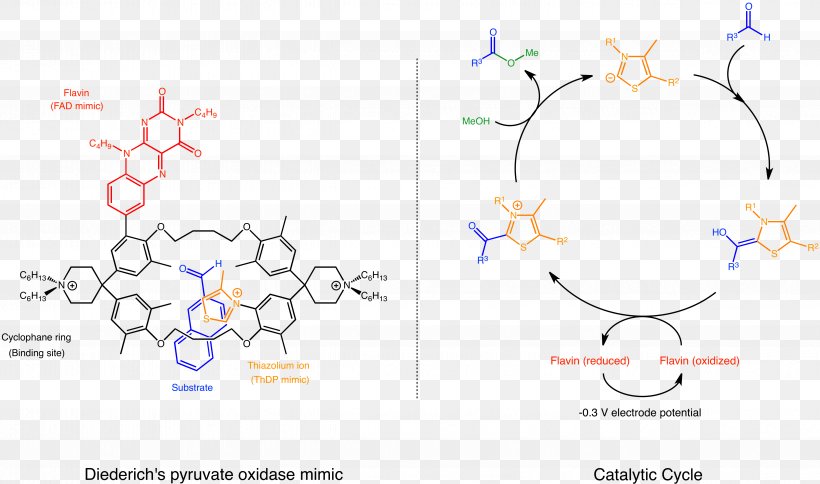 Supramolecular Catalysis Supramolecular Chemistry Pyruvate Oxidase, PNG, 4957x2930px, Supramolecular Catalysis, Aldehyde, Area, Art, Branch Download Free