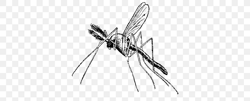 Africa Malaria Mosquito Quina Disease, PNG, 400x332px, Africa, Antimalarial Medication, Arthropod, Black And White, Dengue Download Free