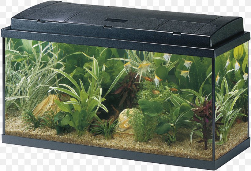 Aquarium Eheim Liter Water Filter Volume, PNG, 1028x703px, Aquarium, Aquarium Decor, Centimeter, Discounts And Allowances, Eheim Download Free