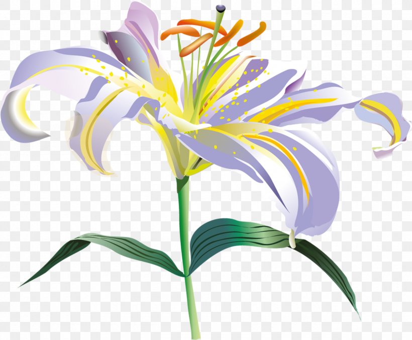 Flower Lilium Clip Art, PNG, 1280x1056px, Flower, Cut Flowers, Daylily, Flowering Plant, Iris Download Free