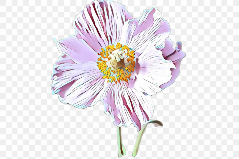 Flower Plant Petal Gerbera Cut Flowers, PNG, 1224x817px, Flower, Aster, Barberton Daisy, Cut Flowers, Gerbera Download Free