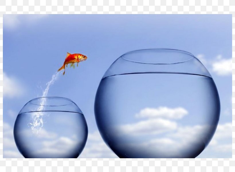 Leap Of Faith Author Jumping Stock Photography, PNG, 800x600px, Leap Of Faith, Author, Faith, Glass, God Download Free