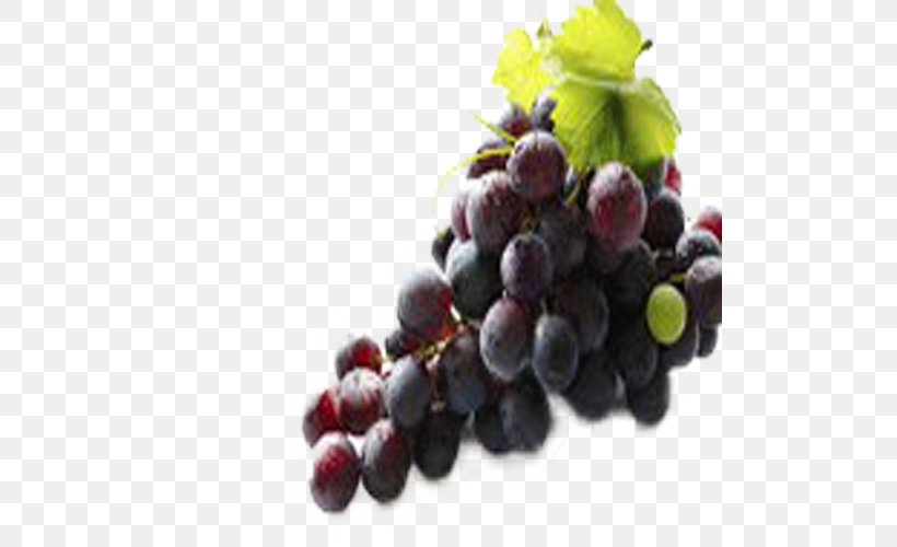 Red Wine Juice Grape Seed Extract, PNG, 500x500px, Red Wine, Aroma, Berry, Blueberry, Concentrate Download Free