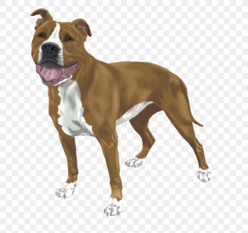 American Staffordshire Terrier American Pit Bull Terrier Dog Breed Staffordshire Bull Terrier, PNG, 774x768px, American Staffordshire Terrier, American Pit Bull Terrier, Breed, Bull, Bull Terrier Download Free