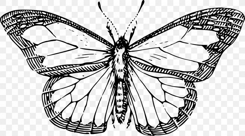Butterfly Drawing Line Art Clip Art, PNG, 2400x1342px, Butterfly, Art, Arthropod, Artwork, Black And White Download Free