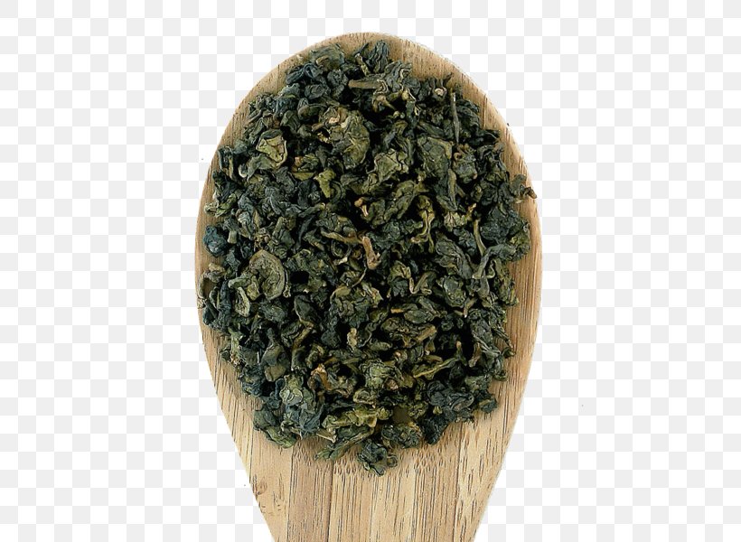 Gyokuro Nilgiri Tea Oolong Darjeeling Tea Earl Grey Tea, PNG, 489x600px, Gyokuro, Assam Tea, Bancha, Biluochun, Ceylon Tea Download Free