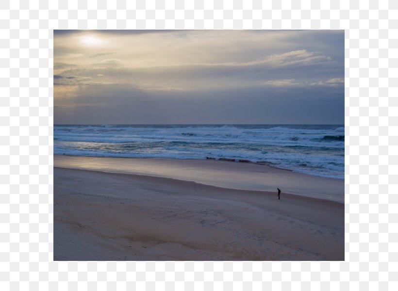 Shore Sea Beach Coast Ocean, PNG, 600x600px, Shore, Beach, Calm, Coast, Coastal And Oceanic Landforms Download Free