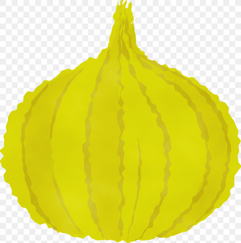 Squash Winter Squash Gourd Leaf Vegetable, PNG, 2969x3000px, Onion, Biology, Citron, Commodity, Fruit Download Free