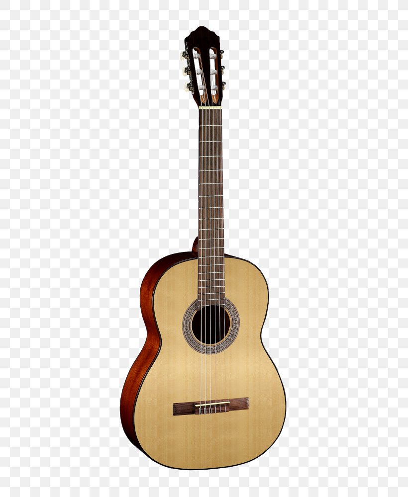 Cort Guitars Classical Guitar Acoustic Guitar Acoustic-electric Guitar, PNG, 726x1000px, Watercolor, Cartoon, Flower, Frame, Heart Download Free