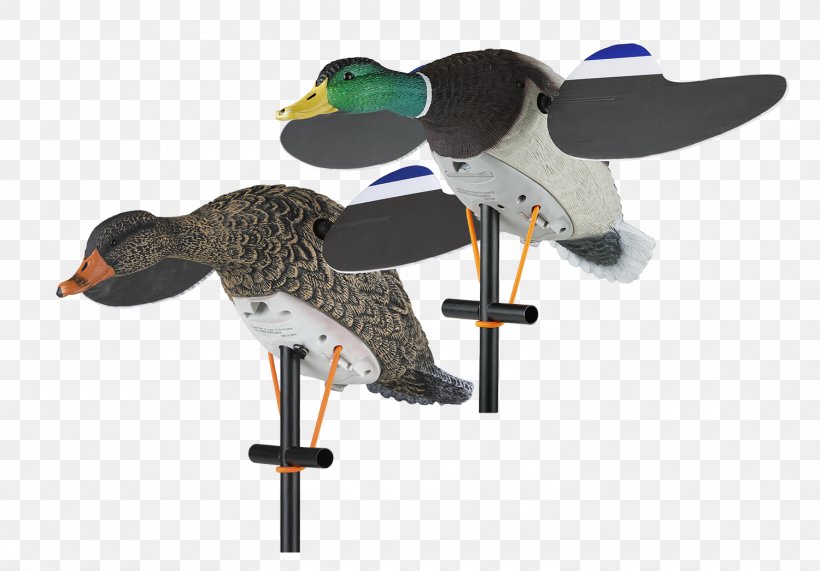 Duck Decoy Mallard Goose Duck Decoy, PNG, 1500x1046px, Duck, Beak, Bird, Decoy, Duck Decoy Download Free
