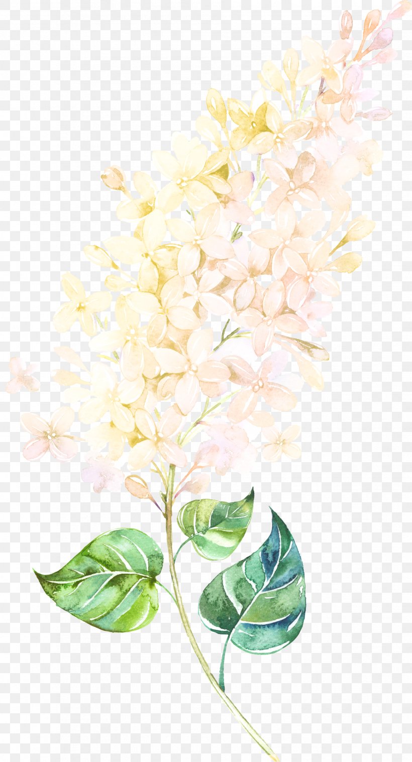 Floral Design Petal Watercolor Painting Lilac, PNG, 1883x3484px, Floral Design, Art, Branch, Cut Flowers, Flora Download Free