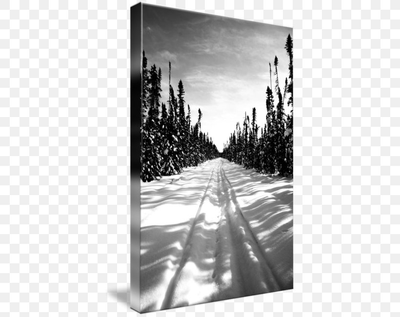 Gallery Wrap Canvas Winter Art Photography, PNG, 392x650px, Gallery Wrap, Art, Black And White, Canvas, Freezing Download Free