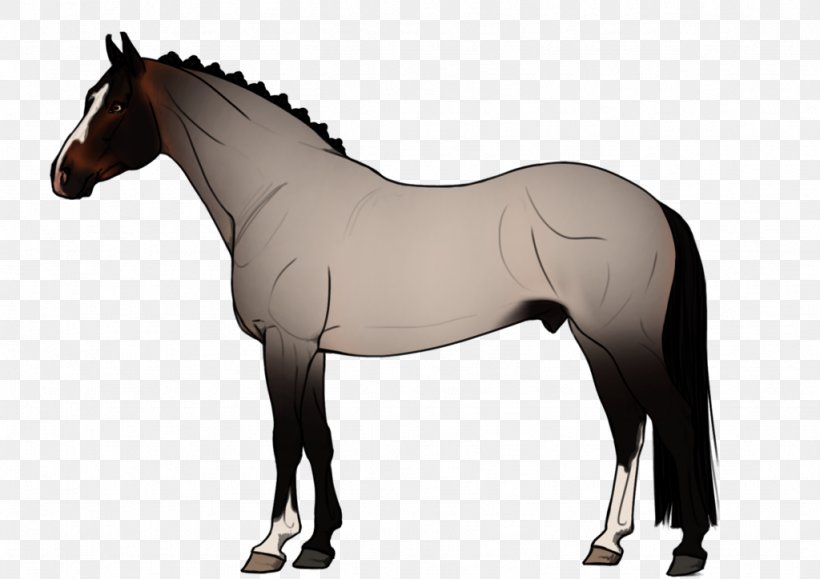 Horse Mane Foal Stallion Rein, PNG, 1024x724px, Watercolor, Cartoon, Flower, Frame, Heart Download Free