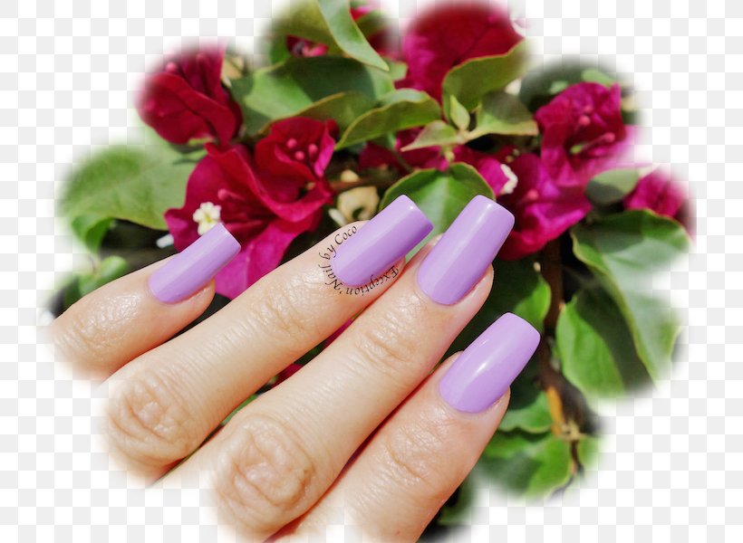 Nail Polish Manicure Hand Model, PNG, 800x600px, Nail, Finger, Flower, Hand, Hand Model Download Free