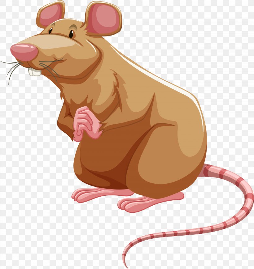 Brown Rat Laboratory Rat Royalty-free, PNG, 4287x4550px, Brown Rat, Carnivoran, Fancy Rat, Laboratory Rat, Mammal Download Free