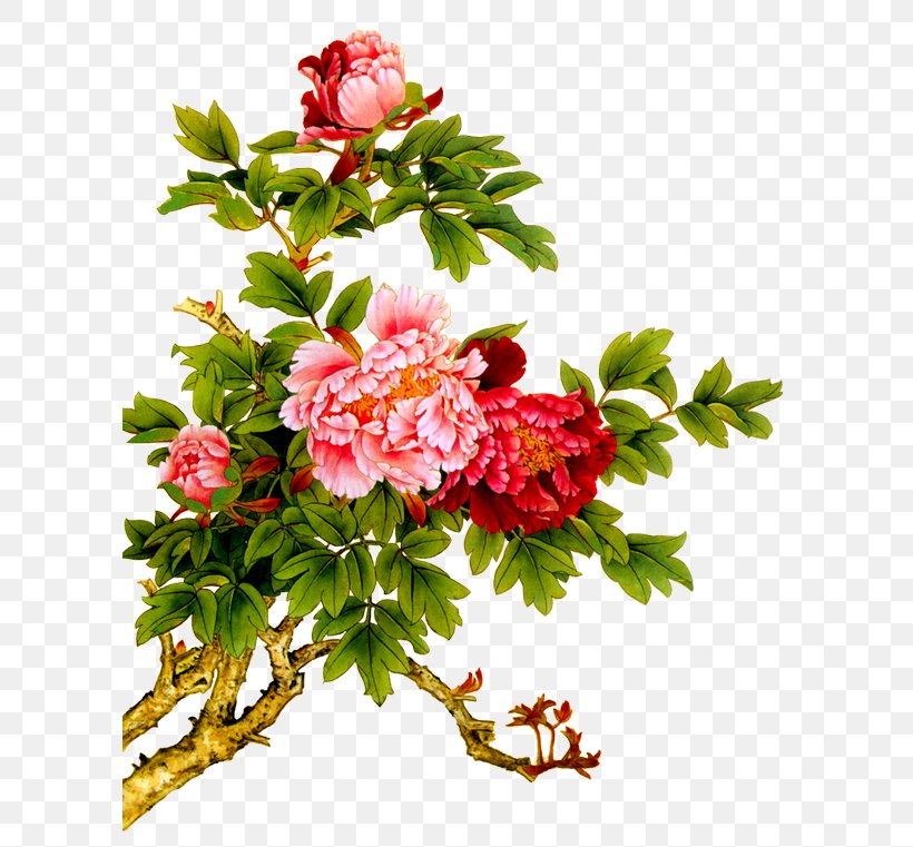 China Peony Chinese Painting Chinese Art, PNG, 600x761px, China, Annual Plant, Artificial Flower, Branch, Calligraphy Download Free