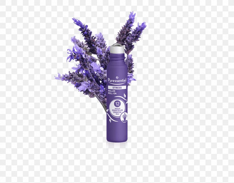 English Lavender Lavender Oil Flower French Lavender Plant, PNG, 970x760px, English Lavender, Essential Oil, Flower, French Lavender, Herb Download Free