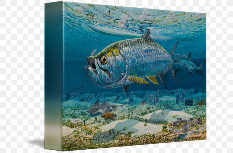 Sardine Painting Saltwater Fish Seawater Marine Biology, PNG, 650x538px, Sardine, Biology, Com, Ecosystem, Fauna Download Free