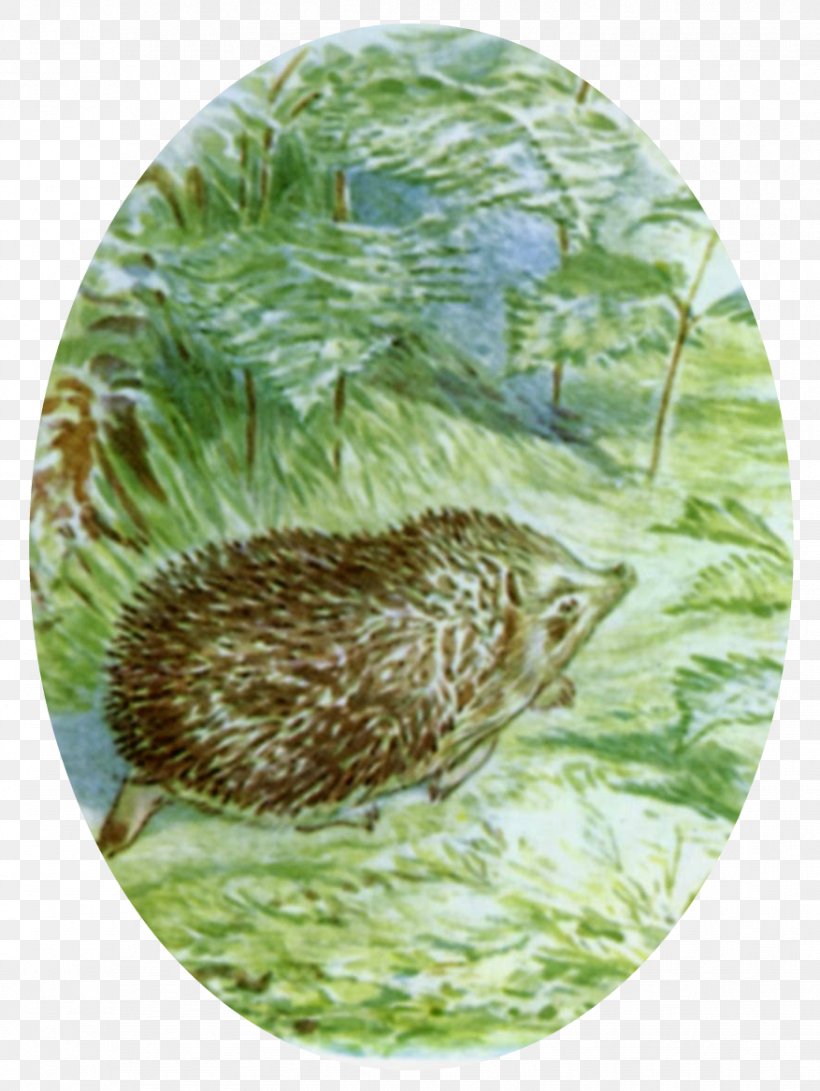 The Tale Of Mrs. Tiggy-Winkle The Tale Of Peter Rabbit The Tale Of Jemima Puddle-Duck The Tale Of Mr. Jeremy Fisher, PNG, 877x1167px, Tale Of Mrs Tiggywinkle, Author, Beatrix Potter, Book, Child Download Free