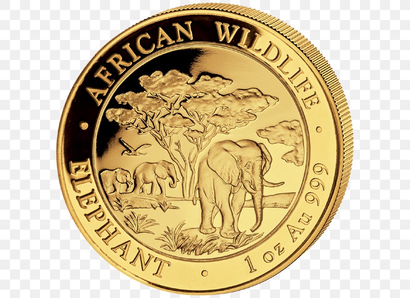 Gold Coin Elephantidae Gold Coin Somalia, PNG, 600x597px, Coin, Bullion, Bullion Coin, Currency, Elephant Download Free