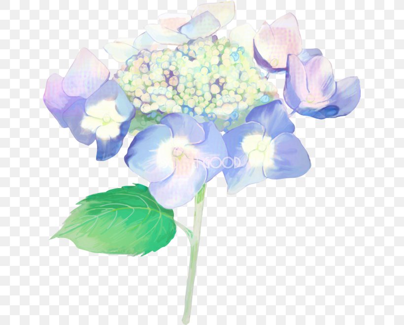 Hydrangea Cut Flowers Floral Design Artificial Flower, PNG, 645x660px, Hydrangea, Artificial Flower, Blue, Bouquet, Cornales Download Free