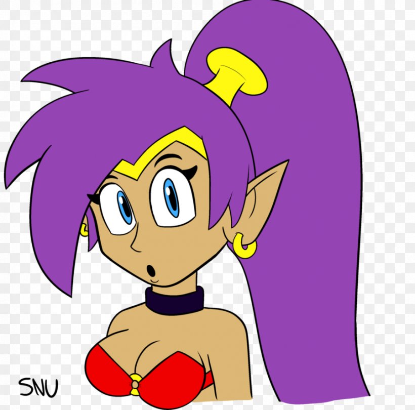Shantae: Half-Genie Hero Shantae And The Pirate's Curse Shantae: Risky's Revenge Wii U Game, PNG, 899x889px, Watercolor, Cartoon, Flower, Frame, Heart Download Free