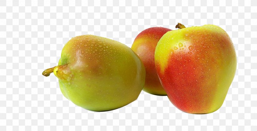 Apple Auglis Food, PNG, 970x494px, Apple, Auglis, Diet, Diet Food, Food Download Free