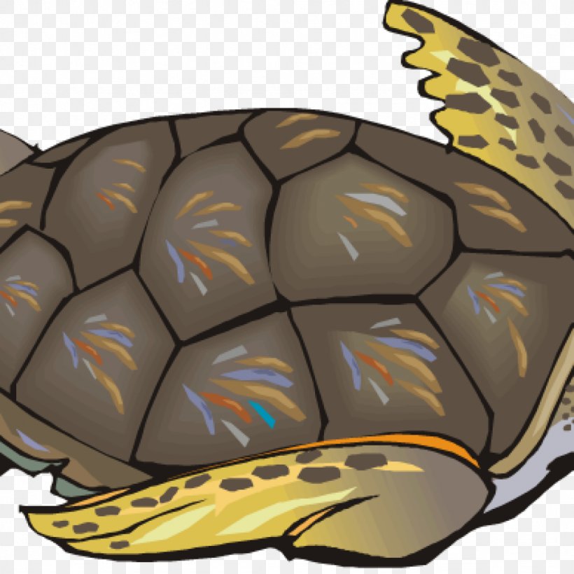 Clip Art Turtle Vector Graphics Image, PNG, 1024x1024px, Turtle, Box Turtle, Desert Tortoise, Drawing, Gopher Tortoise Download Free