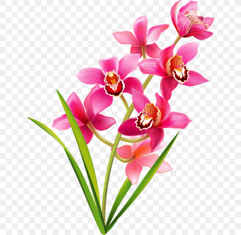 Floral Flower Background, PNG, 639x800px, Orchids, Artificial Flower, Cut Flowers, Floral Design, Flower Download Free