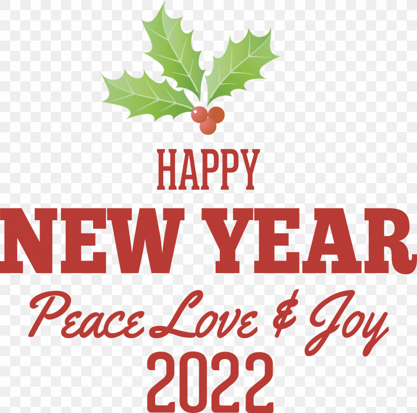 New Year 2022 Happy New Year 2022 2022, PNG, 3000x2973px, Mark Of The Year, Biology, Fruit, Geometry, Leaf Download Free