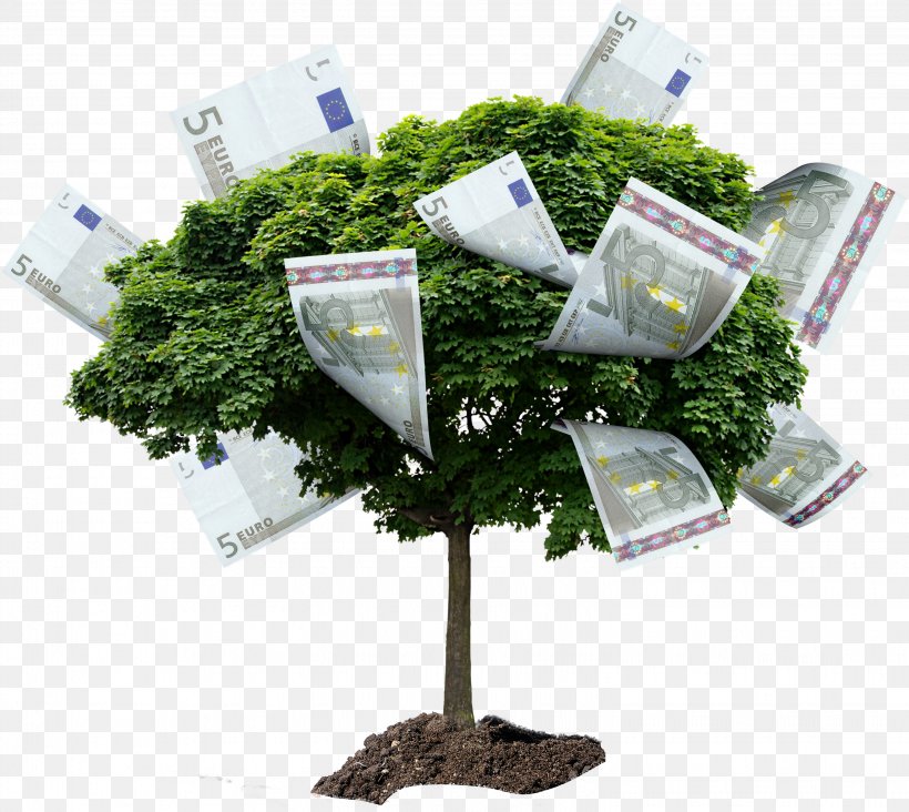 Tree Stock Photography Drawing Money, PNG, 3052x2725px, Tree, Acer Ginnala, Can Stock Photo, Cash, Depositphotos Download Free