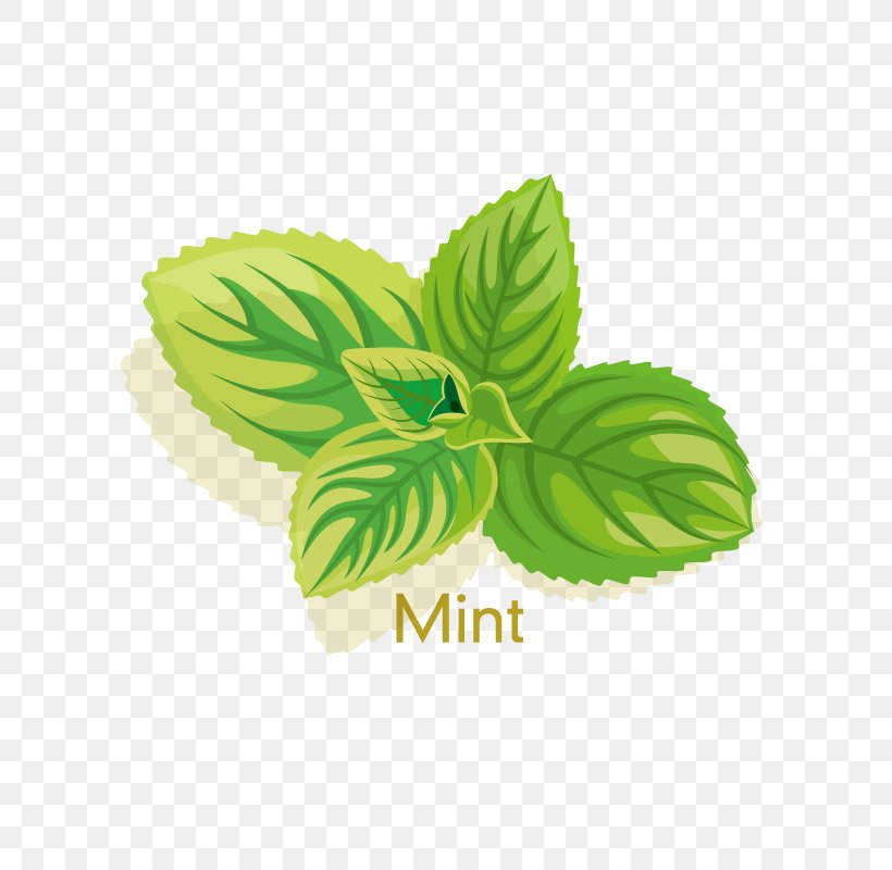 Cosmetics Peppermint Herb Icon, PNG, 800x800px, Aloe Vera, Aloe, App Store, Cosmetics, Food Download Free