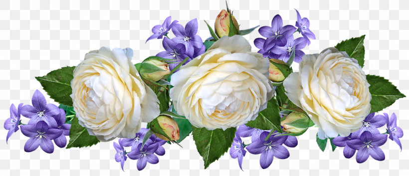 Floral Design, PNG, 1280x552px, Floral Design, Biology, Cut Flowers, Flower, Flower Bouquet Download Free