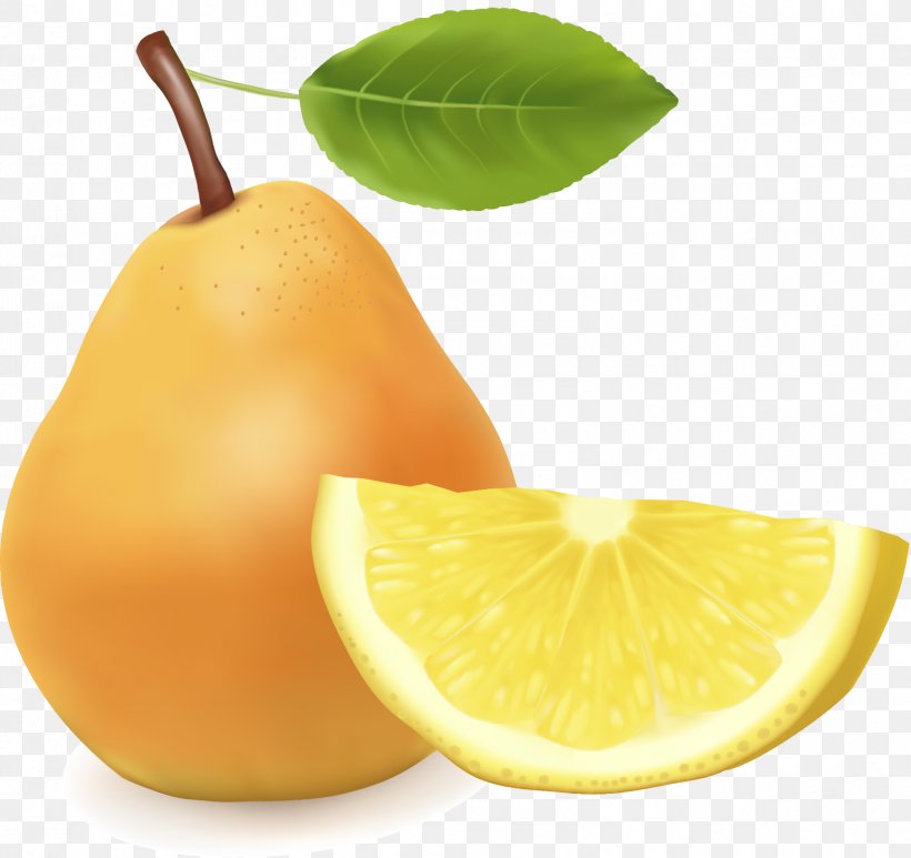 Grapefruit Asian Pear Lemon Tangelo, PNG, 1582x1492px, Grapefruit, Asian Pear, Auglis, Citric Acid, Citrus Download Free