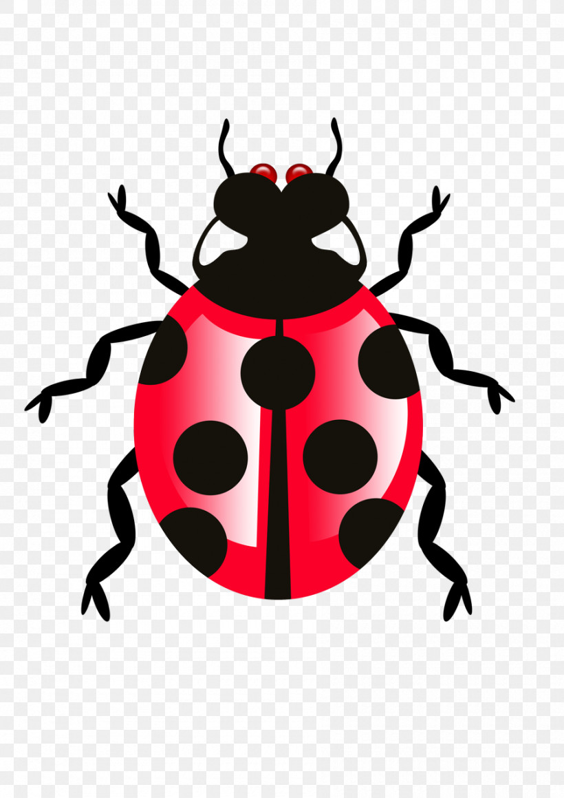 Insect Beetle Pest Weevil Darkling Beetles, PNG, 900x1273px, Insect, Beetle, Darkling Beetles, Pest, Weevil Download Free
