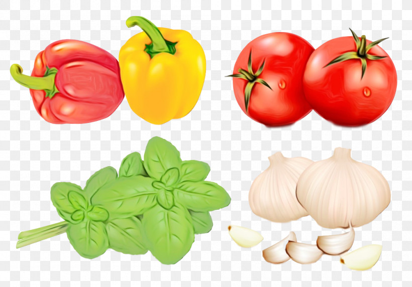 Tomato, PNG, 1000x698px, Watercolor, Basil, Food, Fruit, Natural Foods Download Free