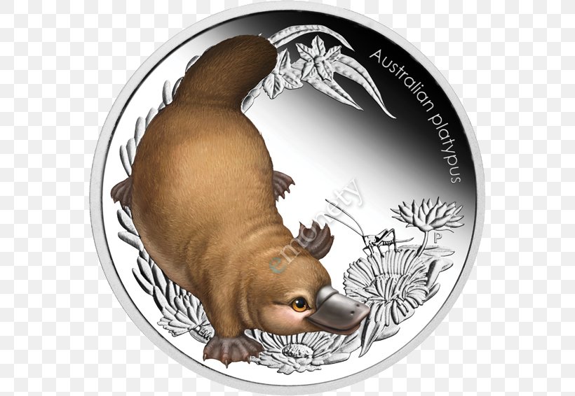 Monotreme Platypus Coin Mammal Gold, PNG, 566x566px, Monotreme, Banknote, Carnivoran, Coin, Commemorative Coin Download Free