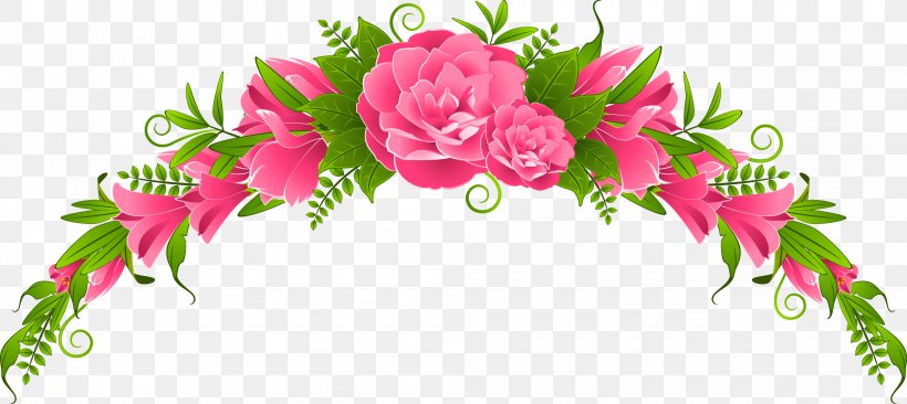Flower Rose Clip Art, PNG, 4008x1791px, Flower, Carnation, Color, Cut Flowers, Floral Design Download Free