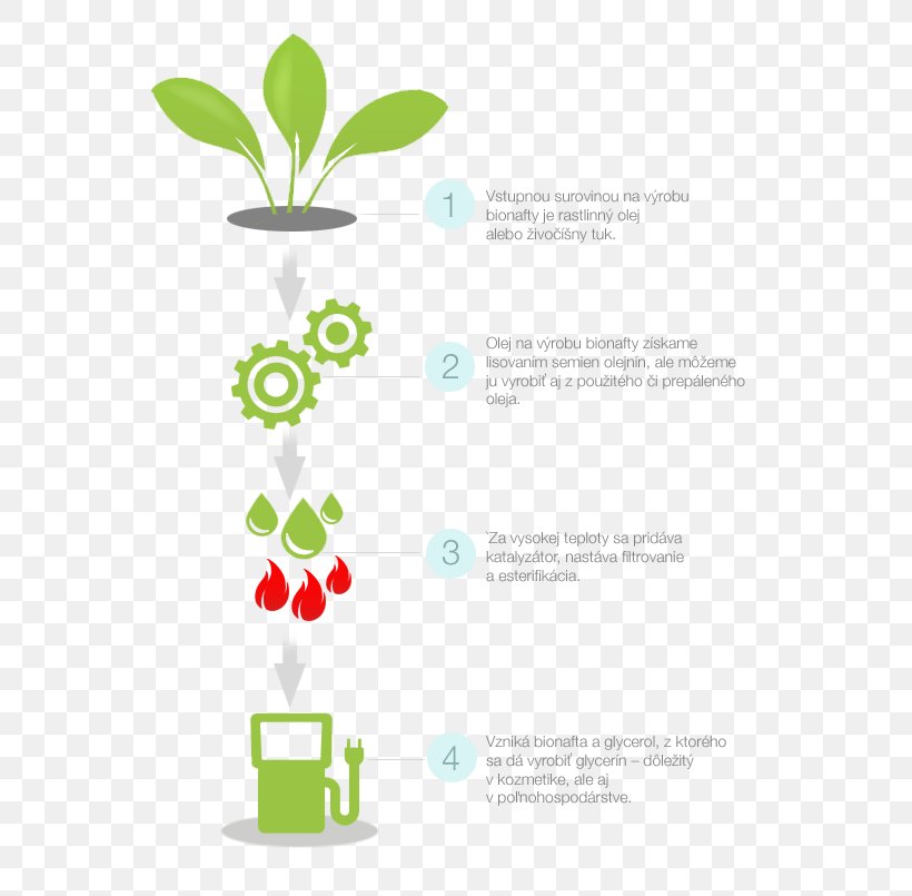 Biodiesel Biofuel Ethanol Fuel Text Product Design, PNG, 617x805px, Biodiesel, Biofuel, Botany, Chart, Ethanol Fuel Download Free