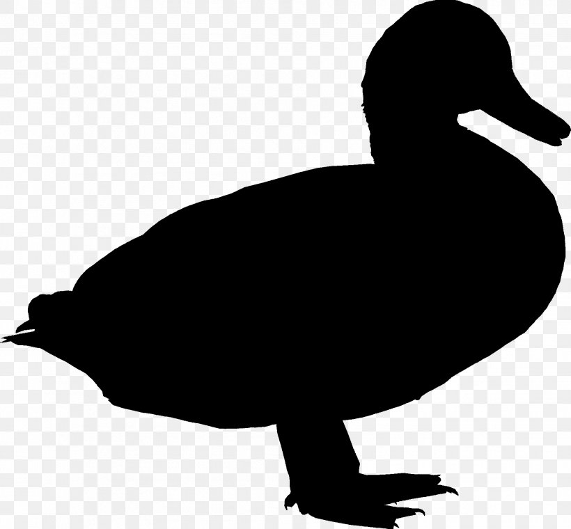 Duck Goose Clip Art Fauna Fowl, PNG, 1888x1750px, Duck, American Black Duck, Beak, Bird, Ducks Geese And Swans Download Free