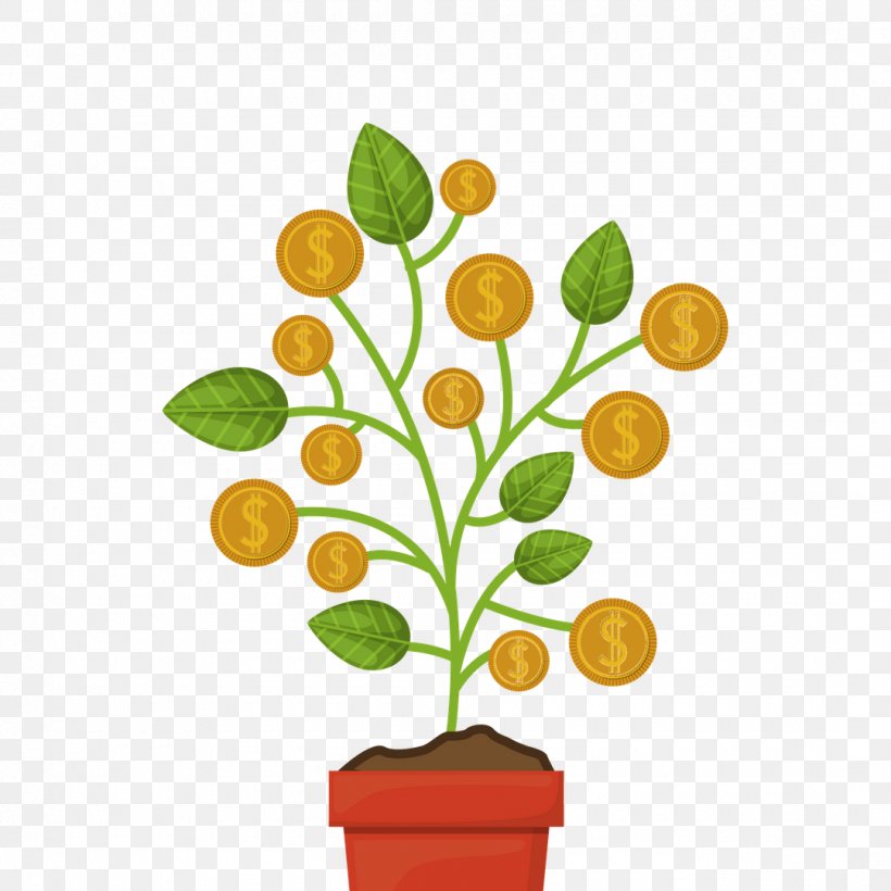 Money Coin Fee Funding, PNG, 1080x1080px, Money, Branch, Budget, Coin, Cut Flowers Download Free